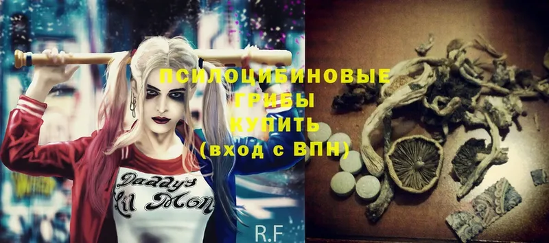 shop официальный сайт  Азнакаево  Псилоцибиновые грибы Psilocybe 